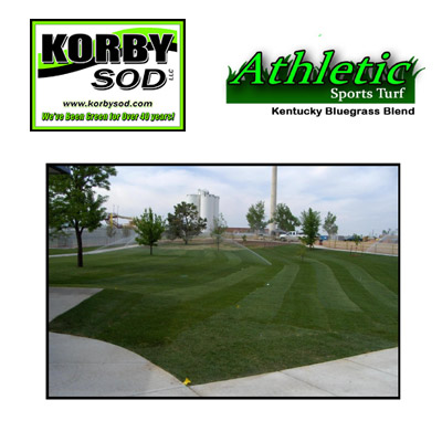 Athletic Sports Turf - Kentucky Bluegrass Blend - Korby Sod Exclusive - Seed $12 Per Pound 1