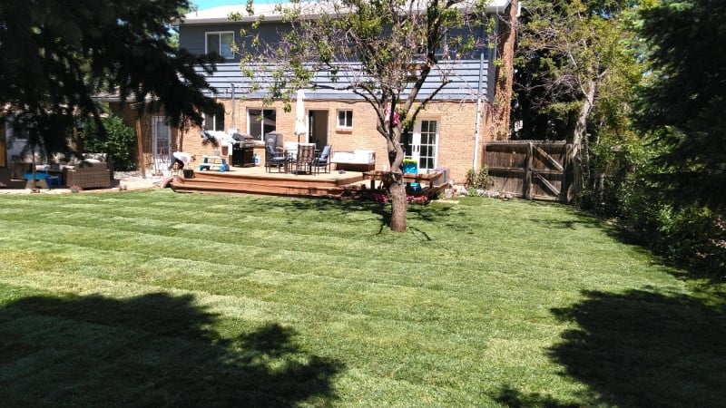Spring Lawn Cleaning 1