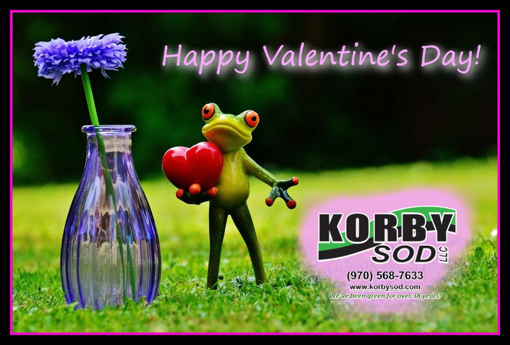 Happy Valentines from Korby Sod! 2