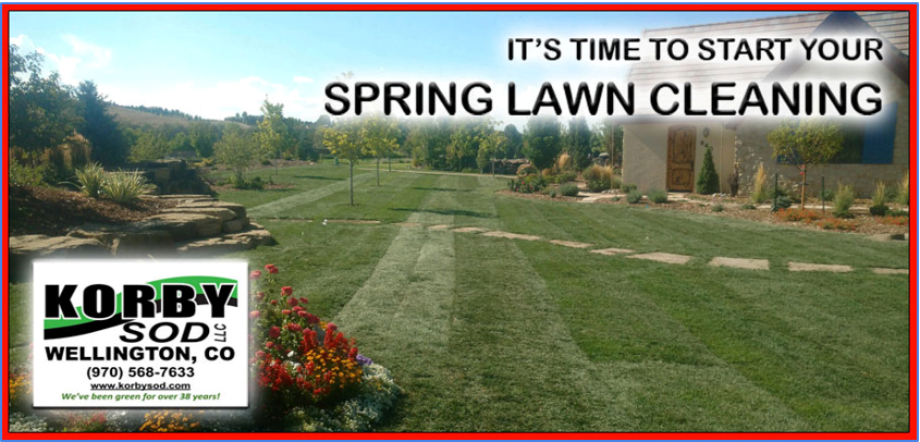 It's Time to Start Your Spring Lawn Cleaning 9