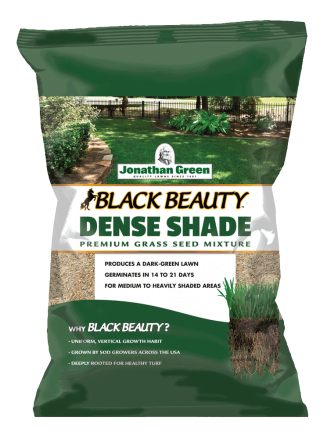 Black Beauty® Dense Shade Grass Seed 1
