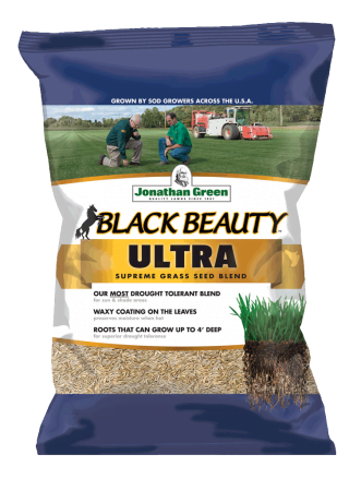 Black Beauty® Ultra Grass Seed 1
