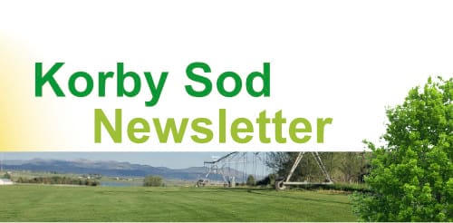 Save Water. Stay Green. Colorado Native Grass Winter Installation Guide 1