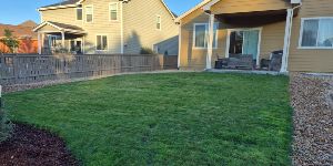 Sod Services - Professional Sod Installation 3