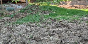 Sod Services - Professional Sod Installation 1