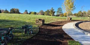 Sod Services - Professional Sod Installation 2