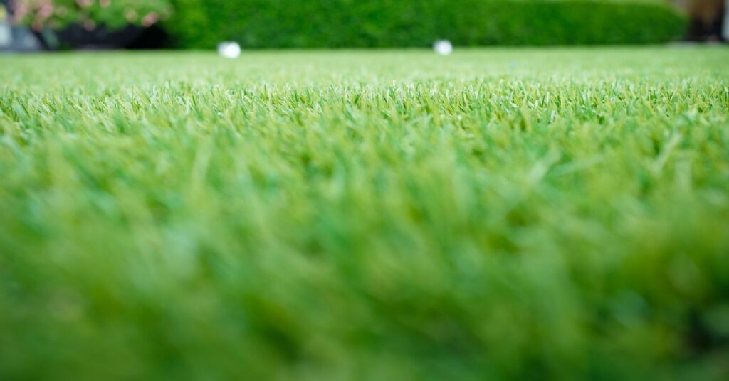 Natural Grass vs. Artificial Turf: The Complete Environmental-Comparison 1 Natural Grass vs. Artificial Turf: The Complete Environmental-Comparison 1